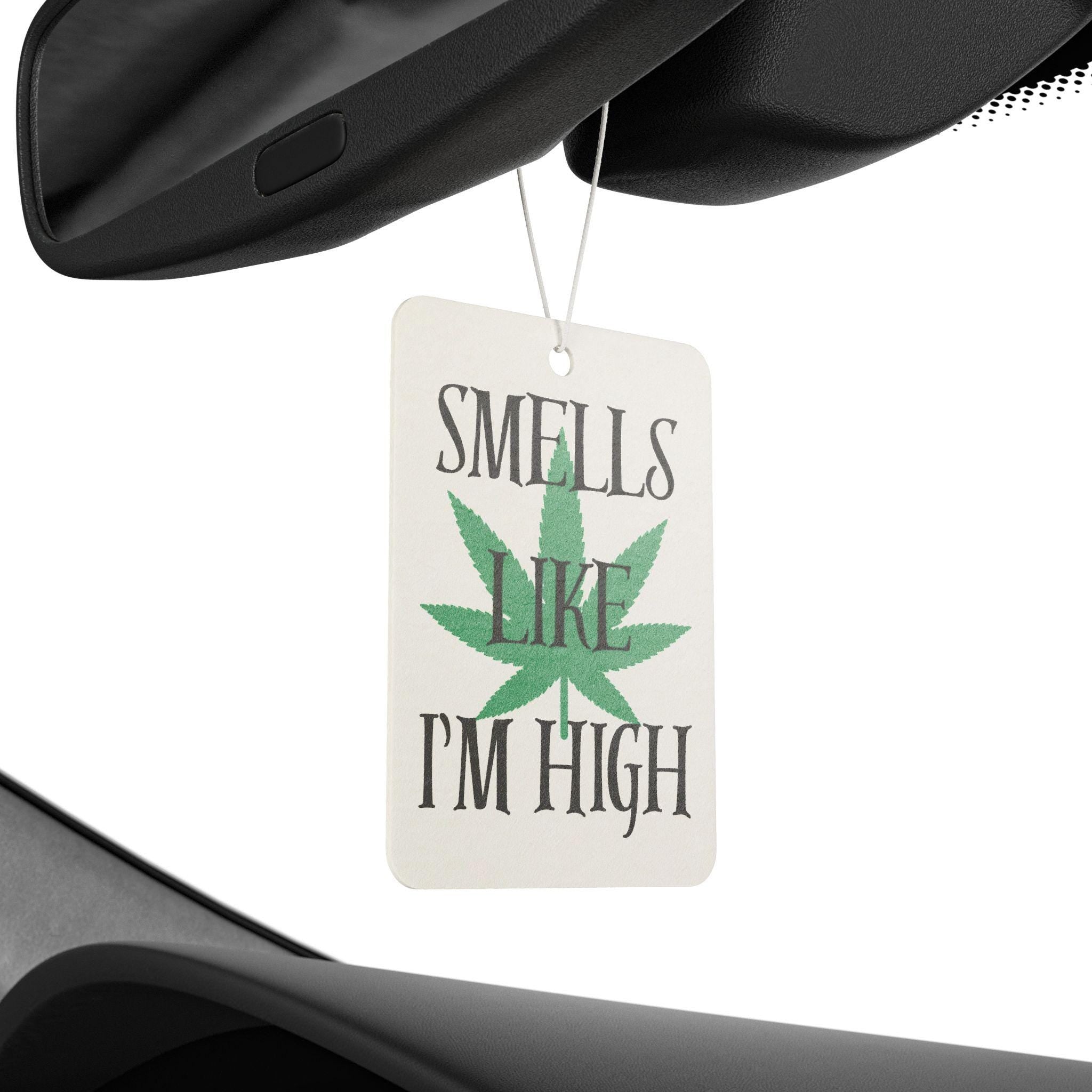 Car Freshener with Fun Phrase for Relaxation and Daily Commute, Unique Gift, Air Freshener, Home Fragrance, Car Decor, Funny Gift
